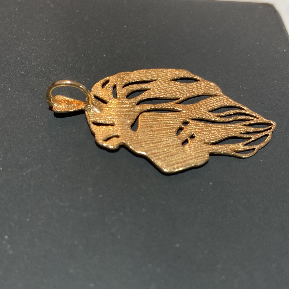 Lion 🦁 pendant 14 Kt gold - Picture 3 of 7
